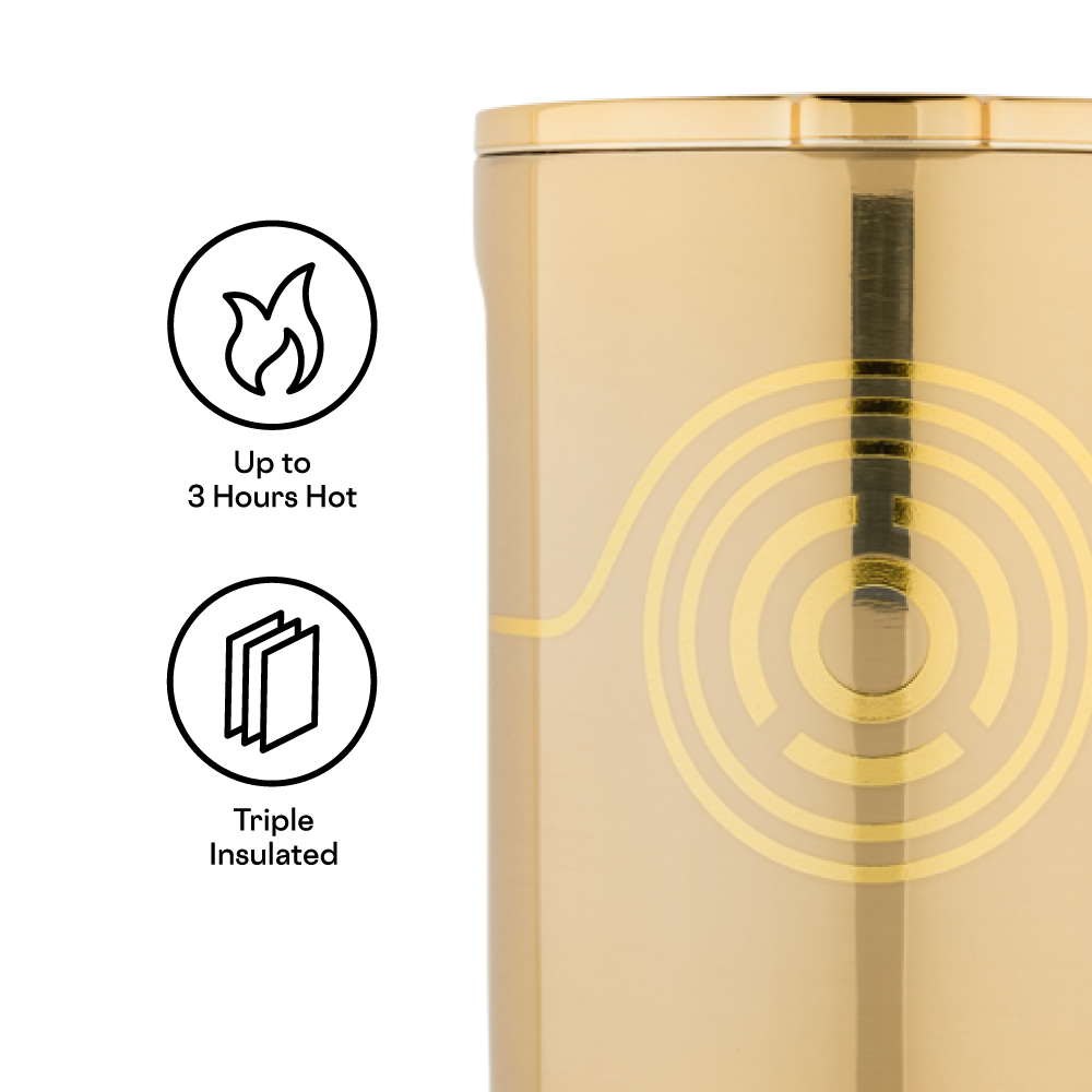 0b4807a64a06-DIS2516SW-C3PO-TFB