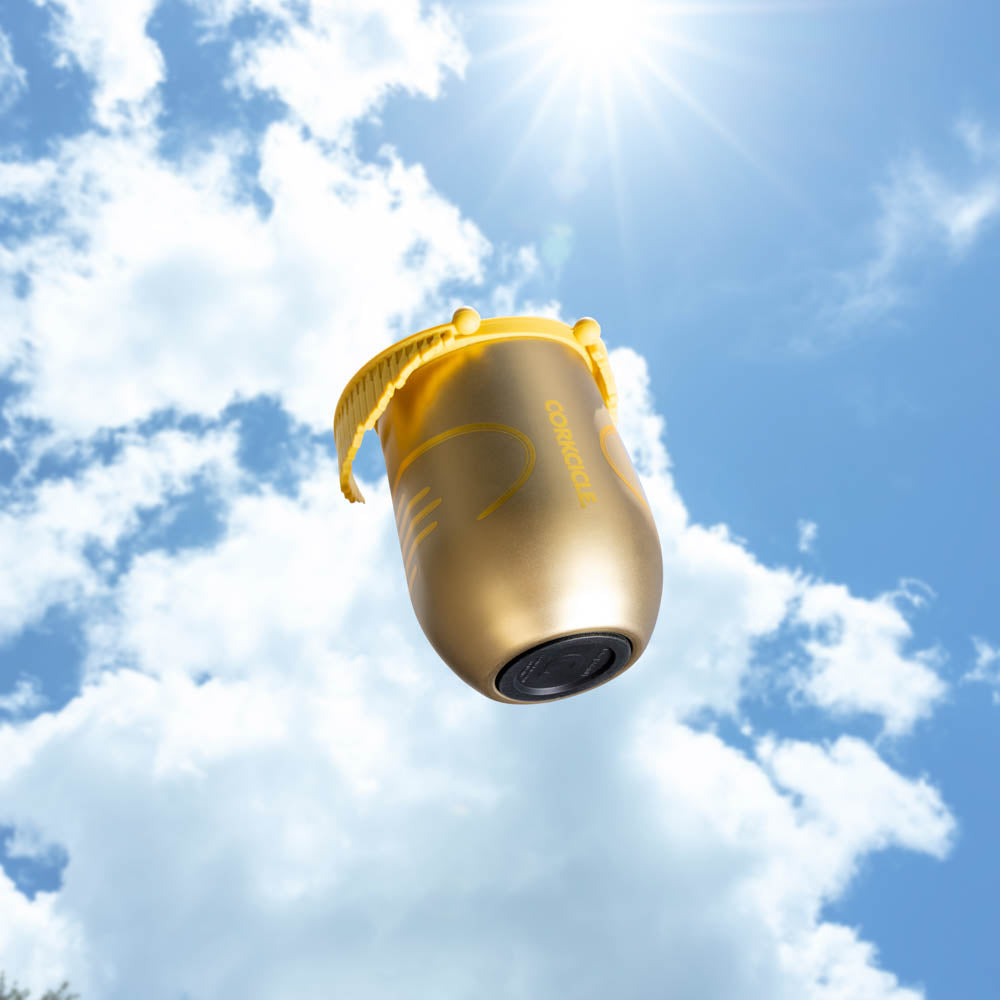 130df8781e98-HarryPotter-Snitch-1